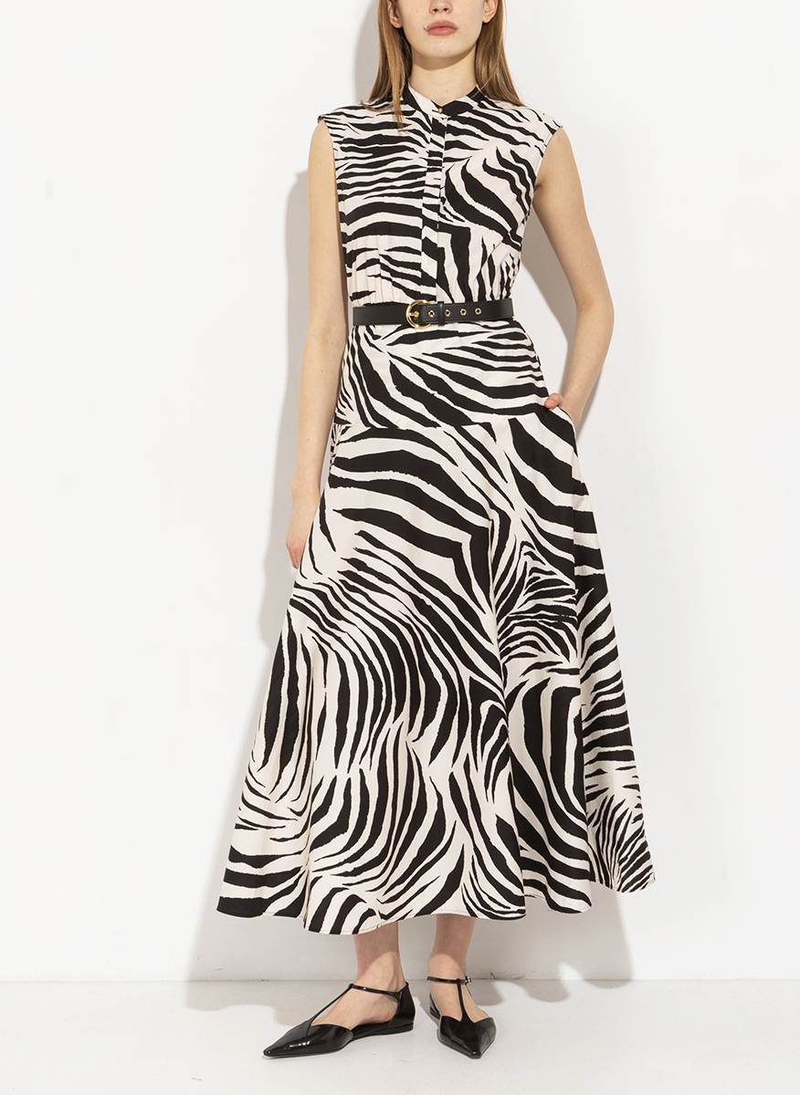 Max Mara Studio Mstwest printed dress