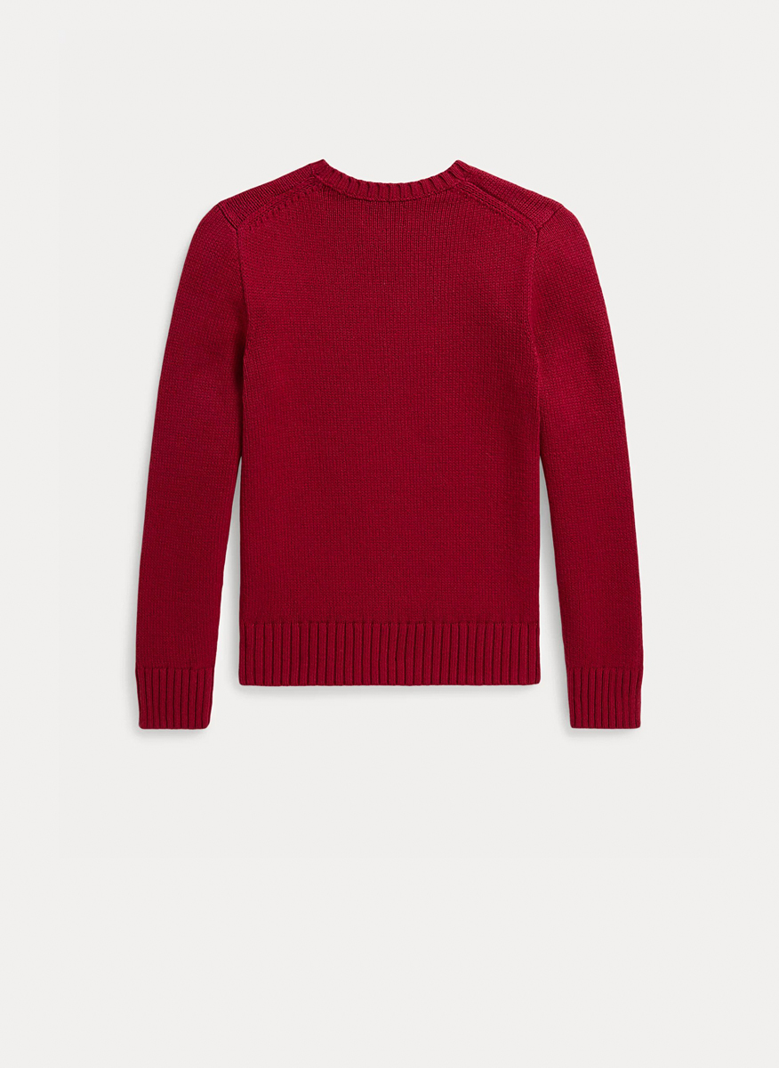 Ralph Lauren Kids 7-14 sweaters with print