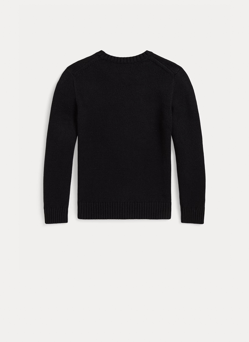 Ralph Lauren Kids 6-14 sweaters with print